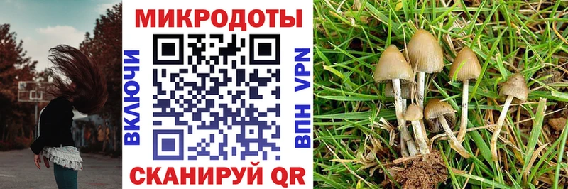 продажа наркотиков  Пугачёв  Галлюциногенные грибы Magic Shrooms 