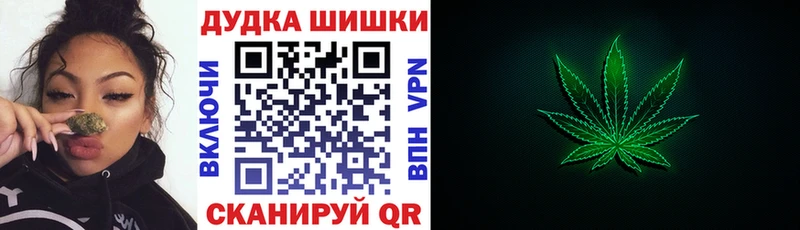 Каннабис ГИДРОПОН  mega tor  Пугачёв  купить  сайты 
